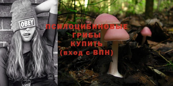 шишки Остров