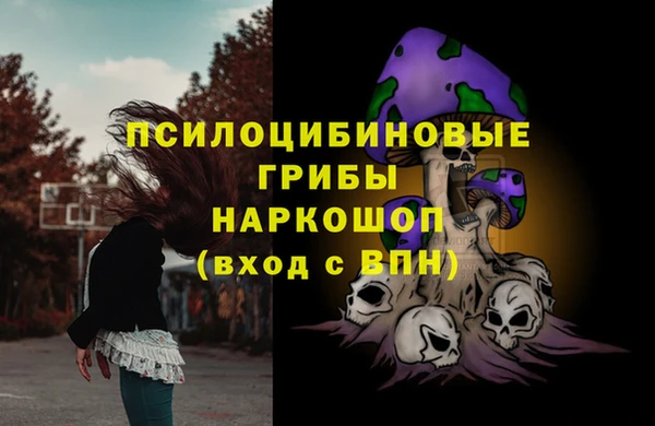 дурь Осташков