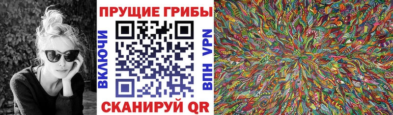 купить наркоту  Лысково  Псилоцибиновые грибы Psilocybine cubensis 